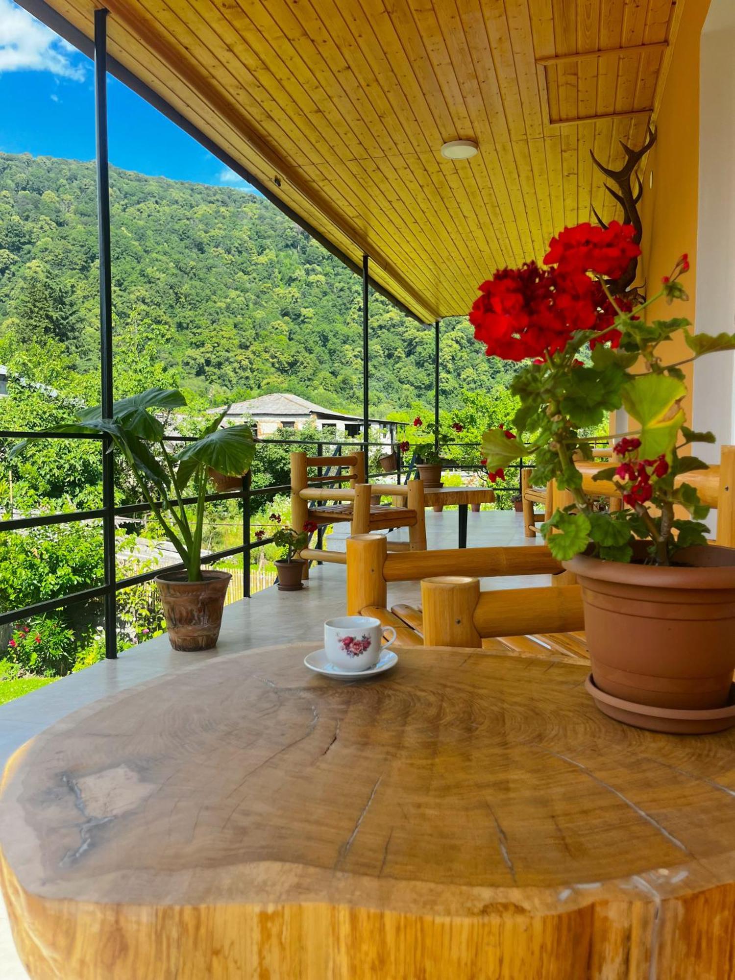 Mountain View Ξενοδοχείο Lagodekhi Εξωτερικό φωτογραφία