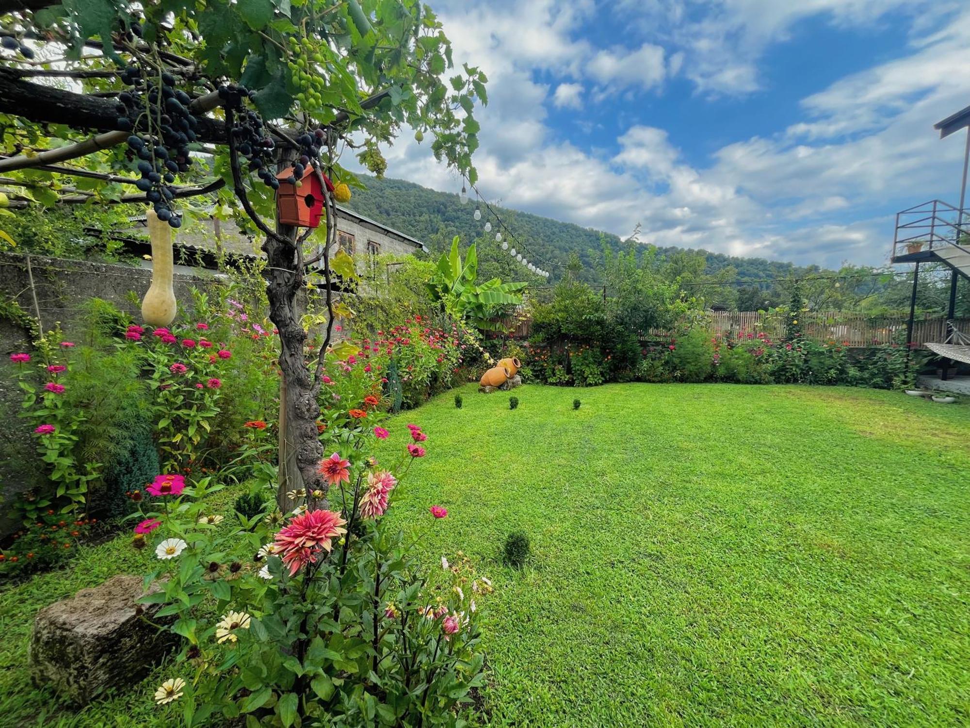 Mountain View Ξενοδοχείο Lagodekhi Εξωτερικό φωτογραφία
