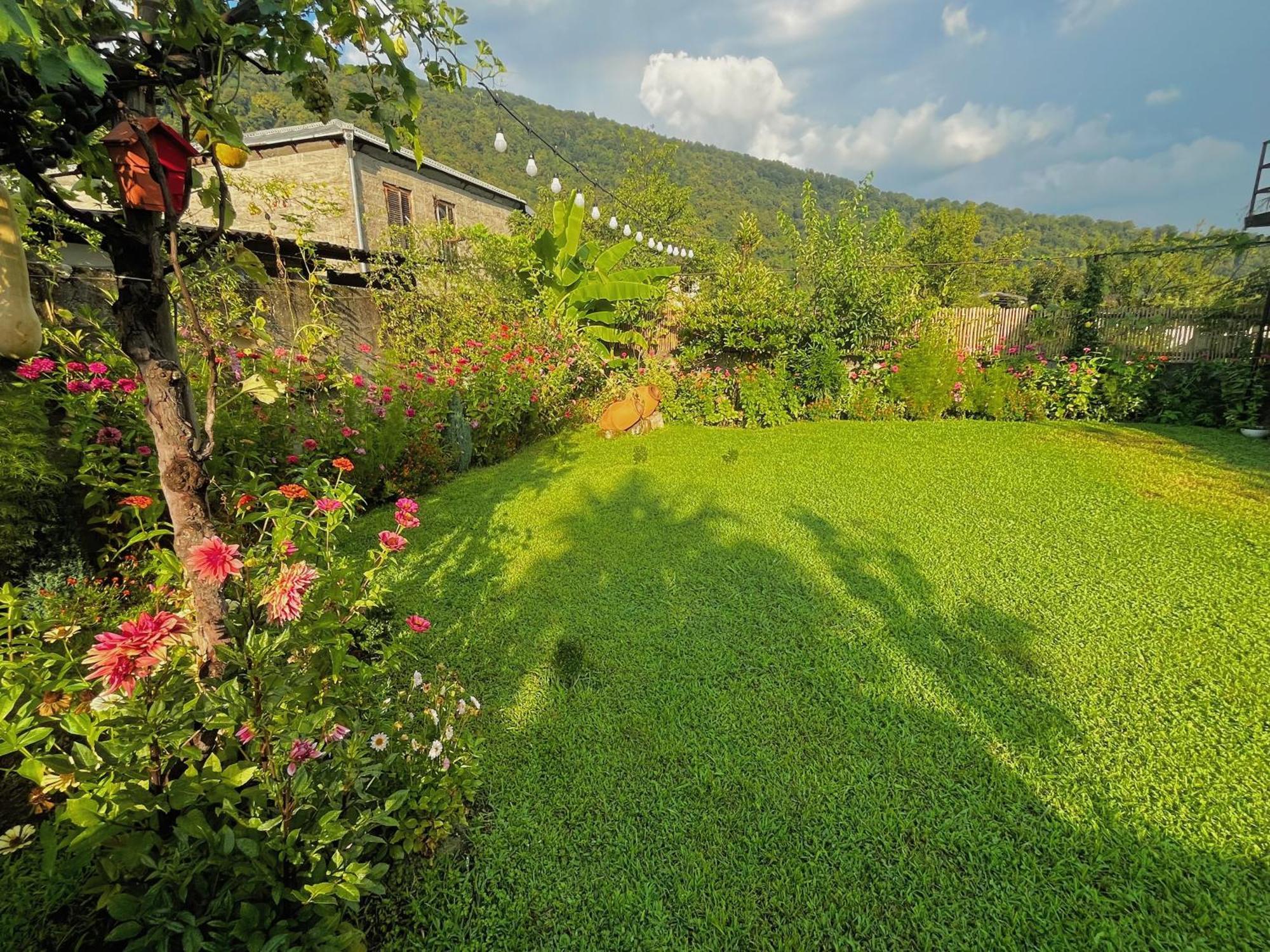 Mountain View Ξενοδοχείο Lagodekhi Εξωτερικό φωτογραφία